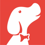 ������ѡ���°�