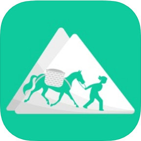 �����̳�2019�ֻ���