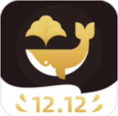 ֥�龨ѡ����app