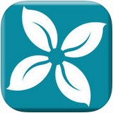 �������϶��̲ݵ�¼����