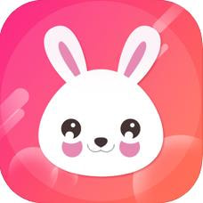 �����Ż�