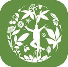 �ε�һƷ��ʽ��