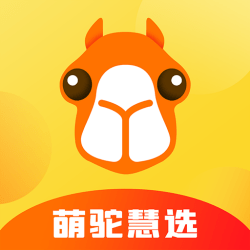 ���ջ�ѡ�ֻ���