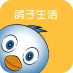 �������׿��