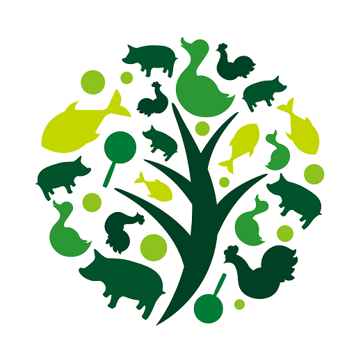 ���ʼ���׿��