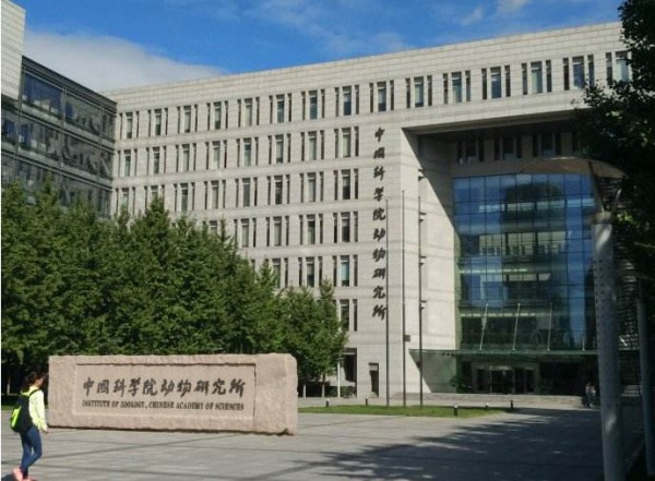 �п�Ժ�����ֻ���