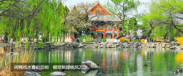 ���������ֻ�