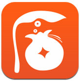 İ������׿������