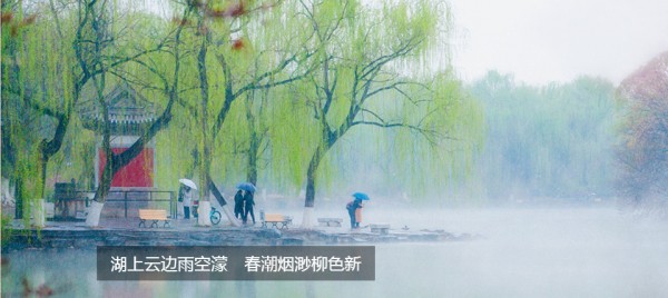 ���������ֻ�