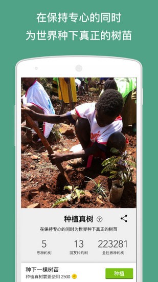 保持专注Forest安卓 保持专注Forest安卓