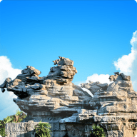 ���ǹ�����׿