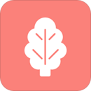 ���˹�����׿