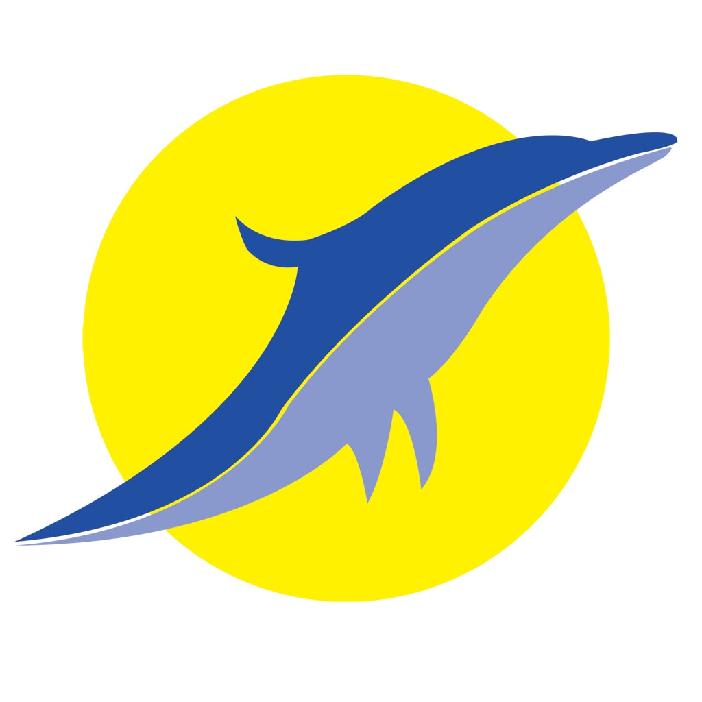 �����ŵ����