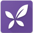 APP��������������