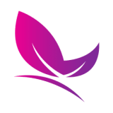 ��͸��ֽ��׿��