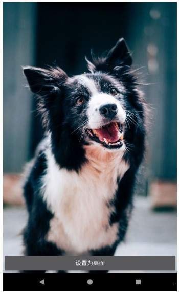 ÿ�ձ�ֽ�ֻ����ֻ���