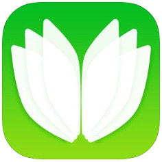 ���ﱳ����ap