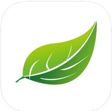 �׹������ذ�