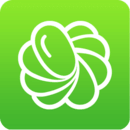 ��У�����°�