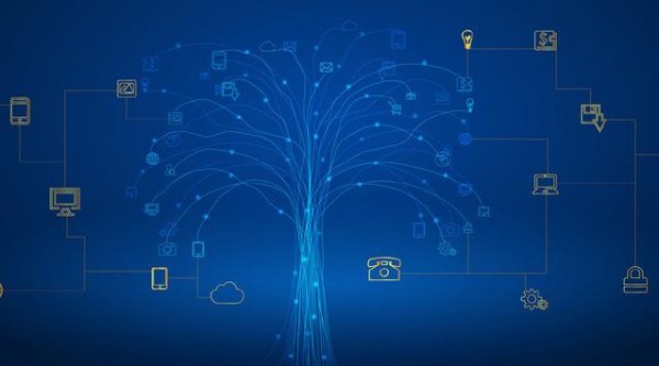 ��ѧ��Ӣ��app