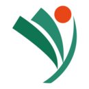 �����п���׿��