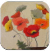 ñ�ӱ�֯��ѧ�ͻ���