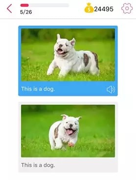 ȫ��˵�⼤�����