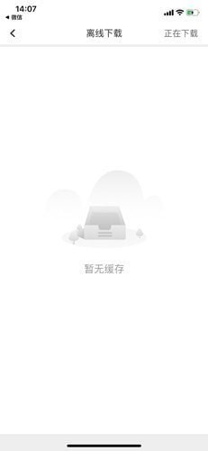 ����app��Ƶ��ô����