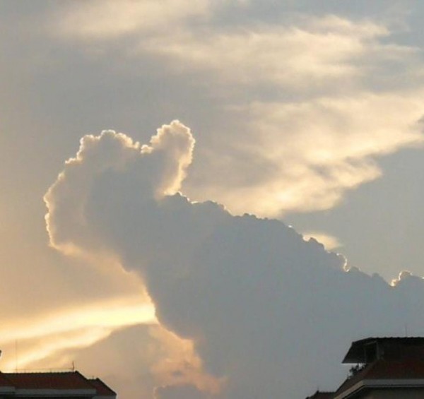 高考加油最新版 高考加油最新版