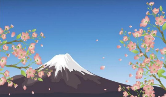 ������ʮ��app