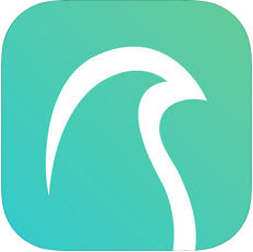 ��ȵҽapp����