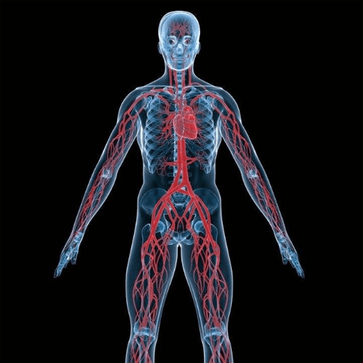 �������3Dģ