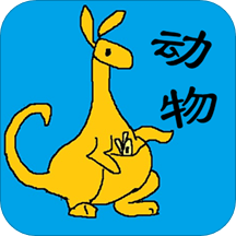 ����ʶ������