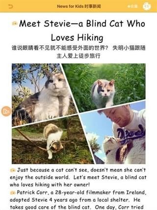 ֥ʿӢ�����°�