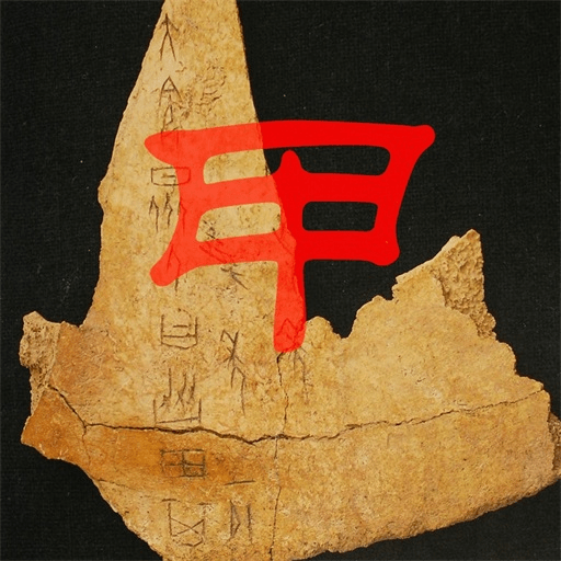 ��ѧ�׹���app��׿��