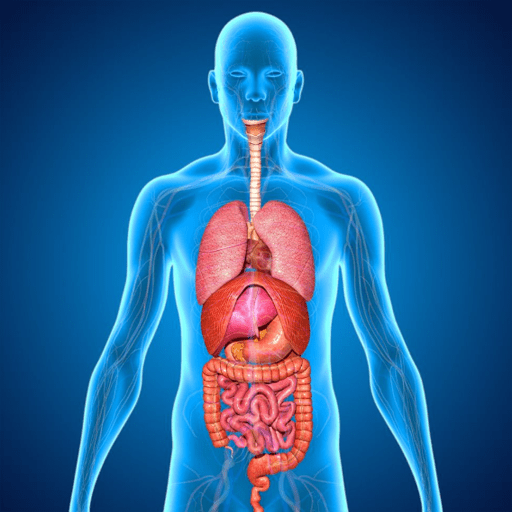 ����������ʰ�׿��