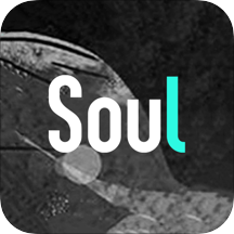 Soul���°汾