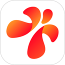 ���Ӱ�׿��