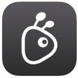 �����Ӱ����Ѱ�