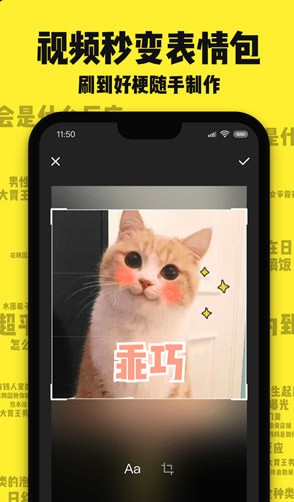 刷刷看app免费 刷刷看app免费