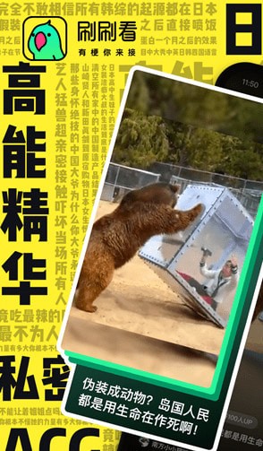 刷刷看app免费 刷刷看app免费