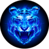 �Ļ�Ӱ���ֻ���