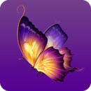 ����ֱ����׿��