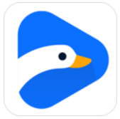 �����Ƶapp