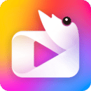 Ϻ����׿��