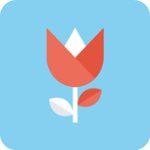 ������ֱ�����°�