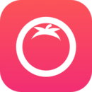 ������Ƶ�ֻ���