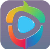 �ɹ�TV�ֻ���