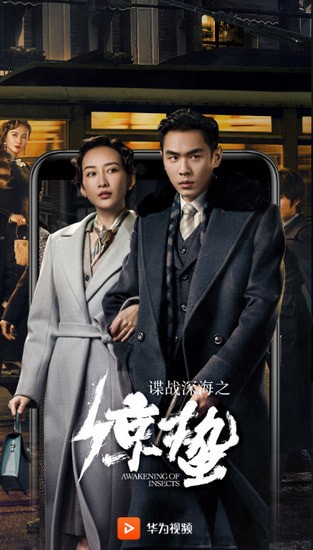 ������Ƶ�ֻ���