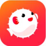 ������Ƶ���°汾